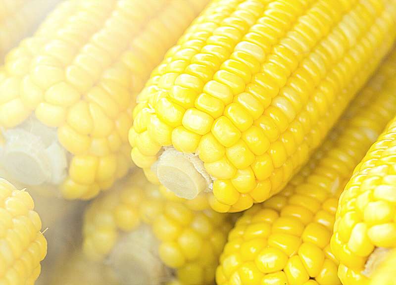 Steaming Corn In A Large Pot