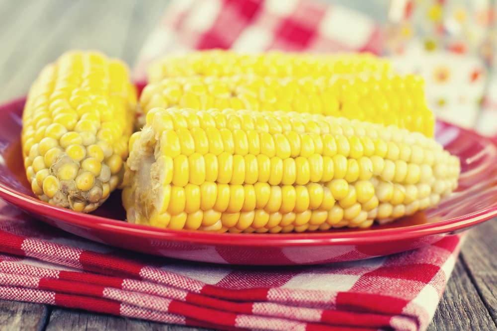 Can You Steam Corn On The Cob In A Steamer