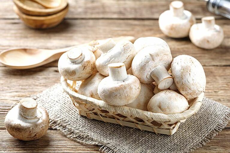 Can You Steam Mushrooms In A Steamer? - The Meal Expert