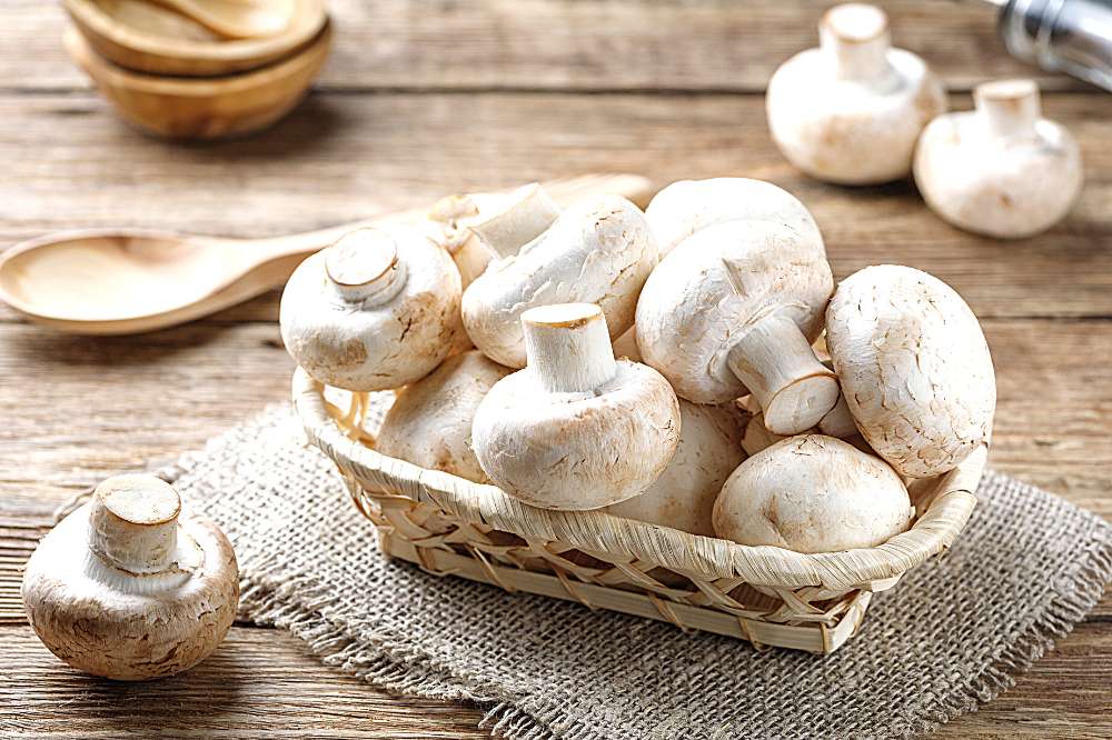 Can You Steam Mushrooms In A Steamer