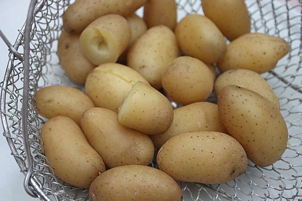 Can You Steam Potatoes In A Steamer