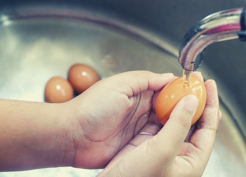 Washing Eggs