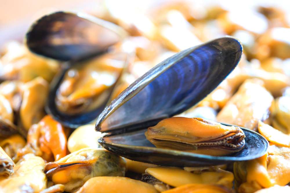 can you steam mussels in a steamer