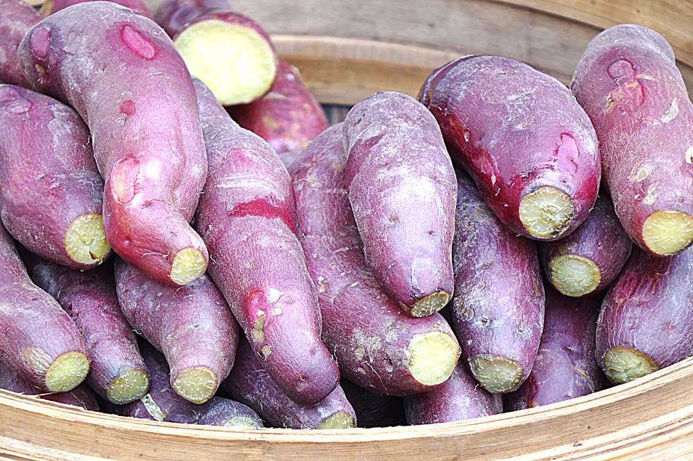 can you steam yams in a steamer