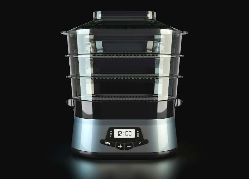 electric food steamer