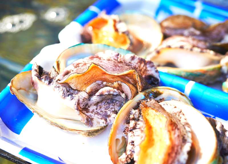 frying abalone